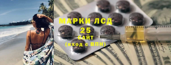 сатива Елабуга