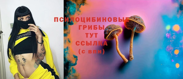 гидропоника Ельня