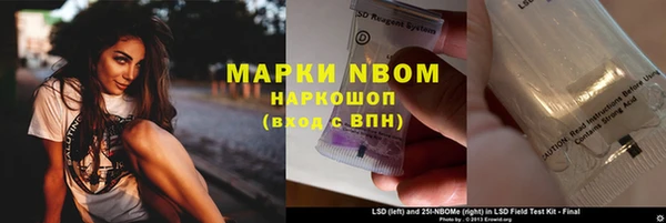 сатива Елабуга