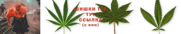 гидропоника Ельня