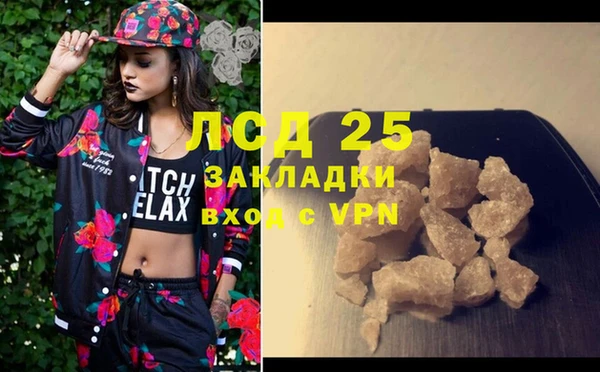 сатива Елабуга