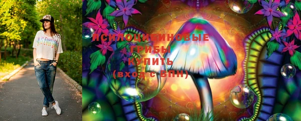 сатива Елабуга