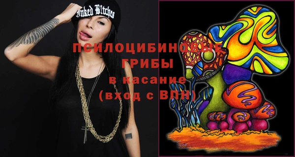 сатива Елабуга