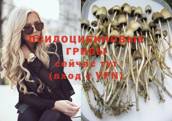 винт Елизово