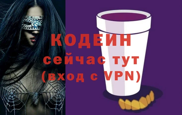 винт Елизово