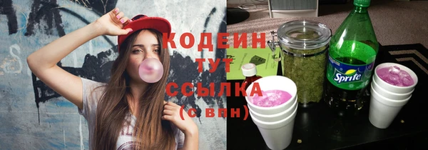 сатива Елабуга