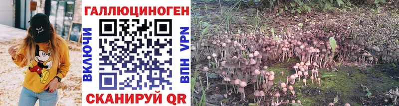 Псилоцибиновые грибы Psilocybe  Купить закладки  Шебекино 